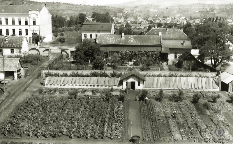Calea Mănăștur din vechiul Cluj