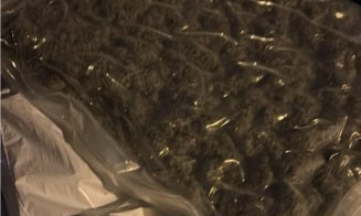 Doi bărbați și o femeie, reținuți pentru trafic de droguri în Cluj. Stupefiantele erau vândute în principal elevilor