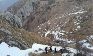 Față în față cu ursul, la Rimetea! Doi turiști din Ungaria au rămas blocați pe Piatra Secuiului după ce au fugit de un urs