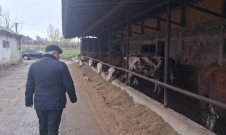 Criza laptelui este iminentă. Avertisment transmis de europarlamentarul clujean Daniel Buda