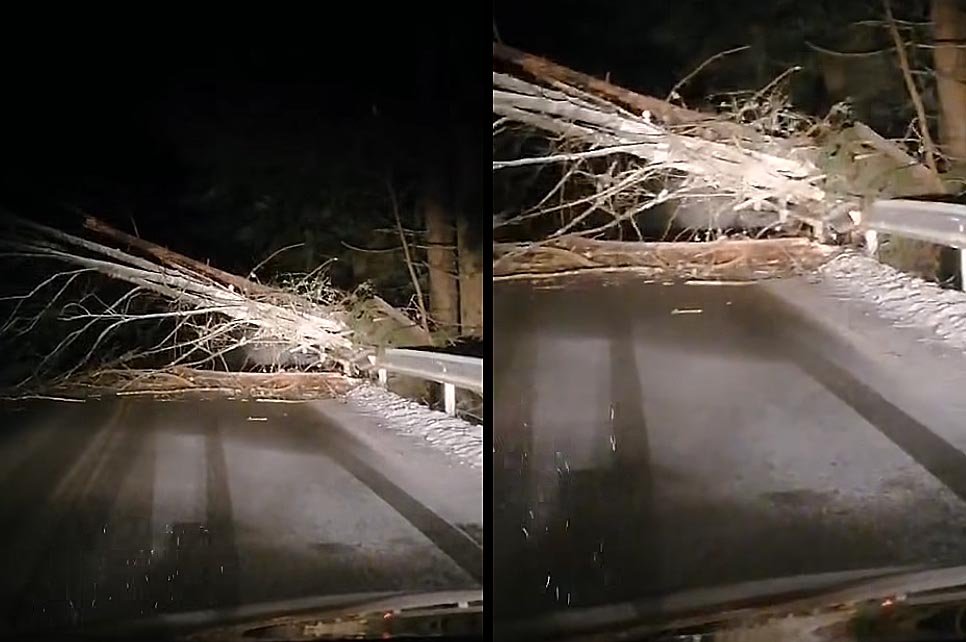 Drum blocat în Cluj. Arbore căzut pe carosabil