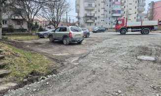 Primărița din Apahida continuă curățenia. Noi garaje au fost demolate