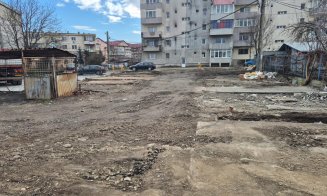 Primărița din Apahida continuă curățenia. Noi garaje au fost demolate