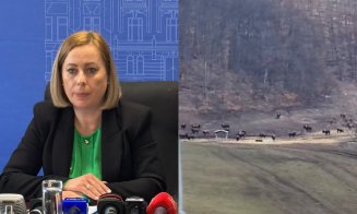 „Lagăr” pentru animale sălbatice la Recea-Cristur, Cluj: peste 200 de bizoni, cerbi și bivoli găsiți morți. Maria Forna: "Ferma a încasat subvenții de peste 10 milioane de lei"