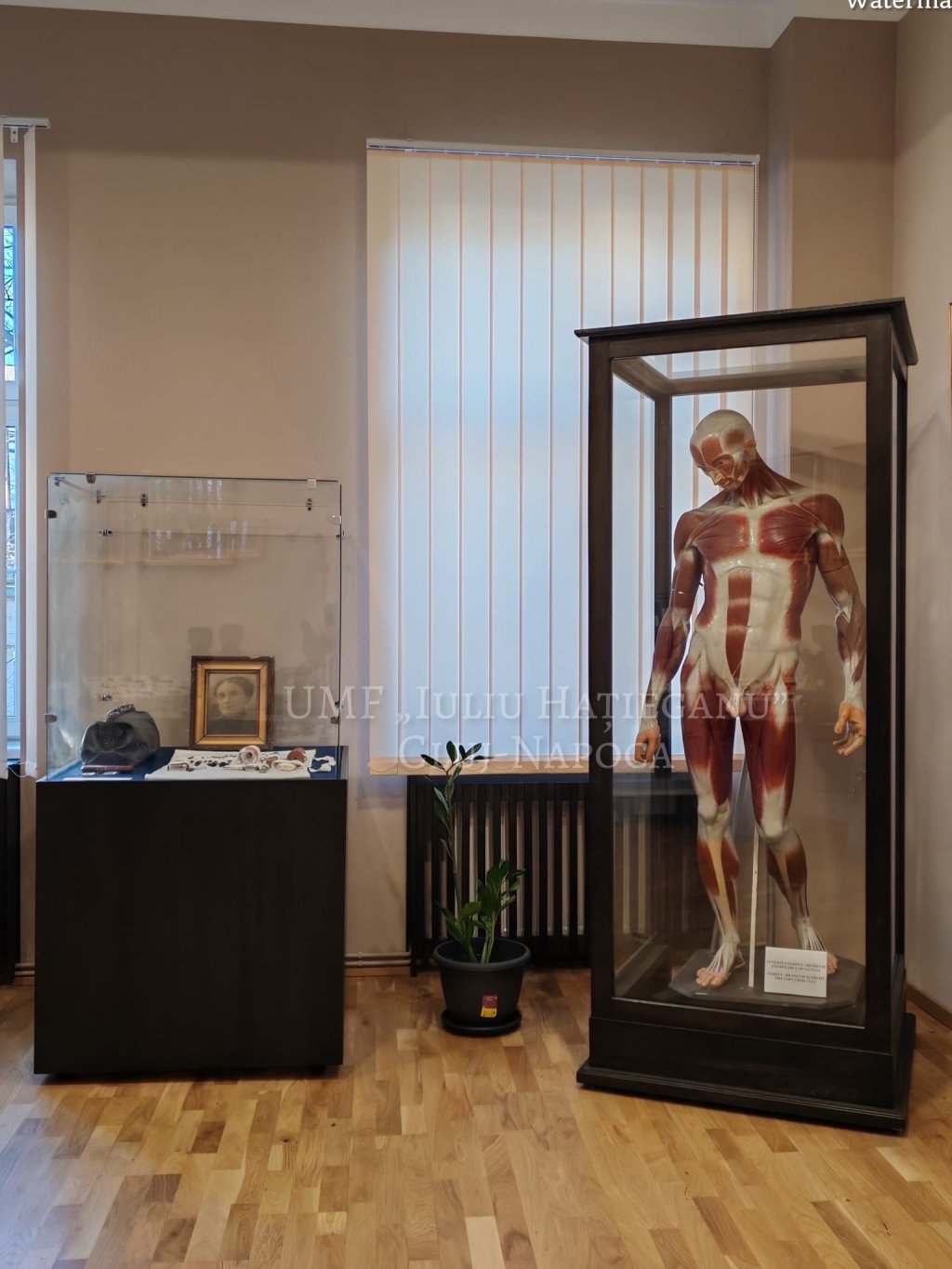 Mărturie spectaculoasă a întâlnirii dintre artă și știință la UMF Cluj. O lucrare semnată de Constantin Brâncuși, expusă la Muzeului Școlii Medicale Clujene