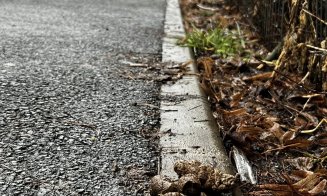 ”Cei care și-au pierdut rahații câinilor, vă rog să îi ridicați de pe trotuar. Că ne împiedicăm de ei zilnic!!!”