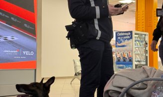 Polițiștii au luat cu asalt Aeroportul Cluj: peste 130 de persoane legitimate. Ce au descoperit