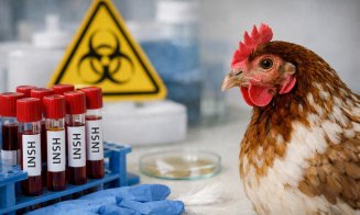 Primarul din Gilău, după confirmarea gripei aviare la lebedele moarte găsite în zona lacului de acumulare: ”Să rămânem calmi și să respectăm câteva măsuri simple”