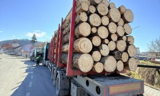 Transport de persoane și produse alimentare verificat de polițiștii clujeni. S-au dat amenzi usturătoare