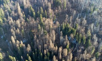 Remus Lăpușan: „Protejarea pădurilor din ariile naturale necesită intervenții rapide și soluții responsabile”