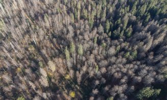 Remus Lăpușan: „Protejarea pădurilor din ariile naturale necesită intervenții rapide și soluții responsabile”