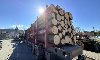 Polițiștii clujeni nu duc lipsă de ”clienți” în trafic: Vizați sunt și transportatorii de lemn / Amenzi de 52.000 de lei