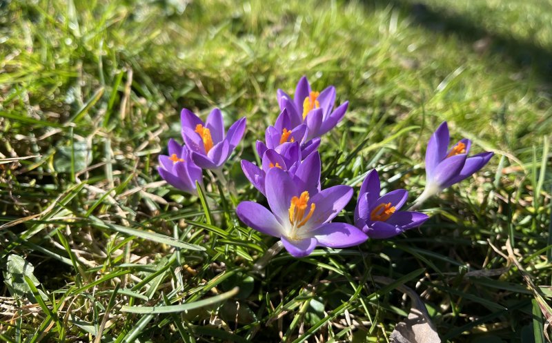 Grădina Botanică din Cluj-Napoca și-a modificat programul