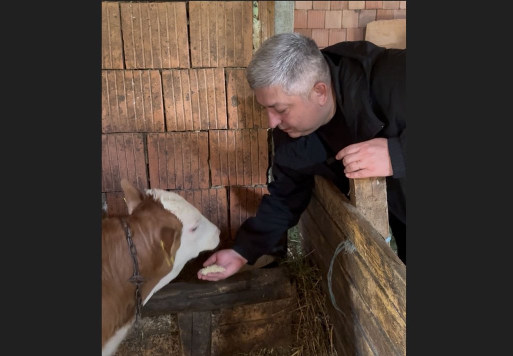 Alin Tișe: „Lapte de vacă, la troc cu laptele de pasăre”