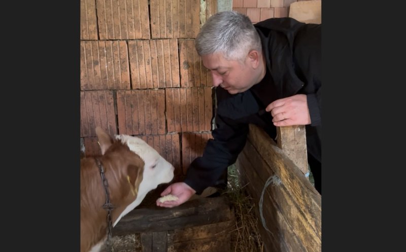 Alin Tișe: „Lapte de vacă, la troc cu laptele de pasăre”