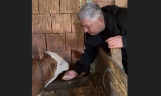 Alin Tișe: „Lapte de vacă, la troc cu laptele de pasăre”