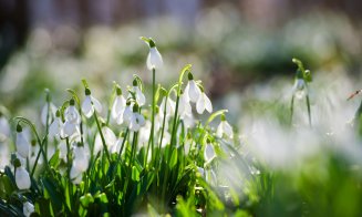 Vești bune de la ANM: Vreme caldă până la sfârșitul lunii martie