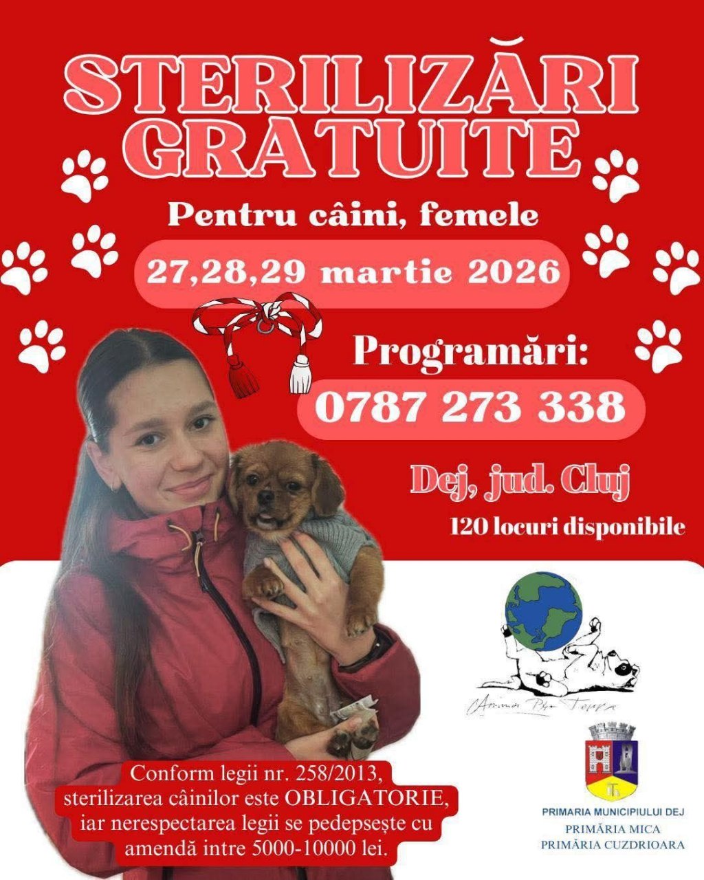 Campanie de sterilizări gratuite, la Dej