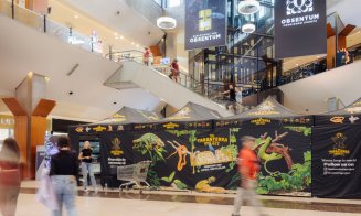 Expoziția Educativă de Tarantule și Reptile Vii revine la Iulius Mall Cluj cu exemplare spectaculoase