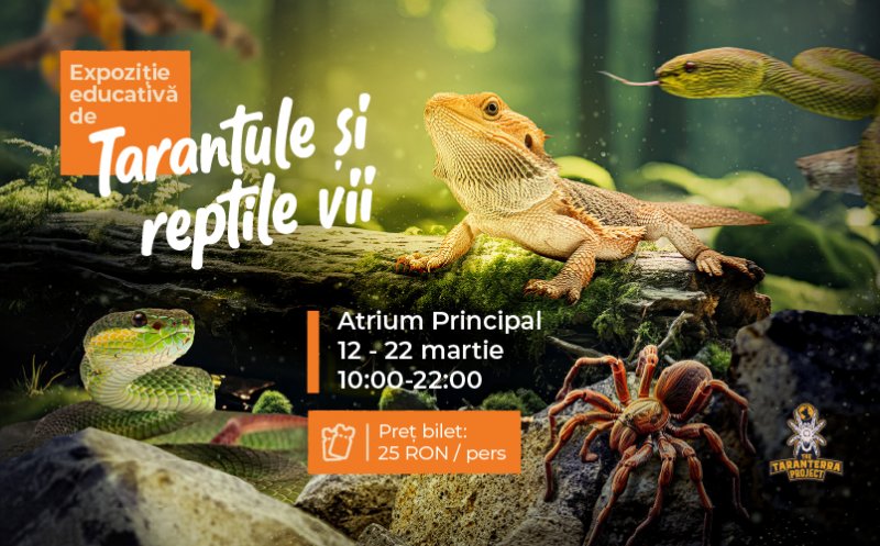 Weekend cu expoziții spectaculoase, târg de nunți și spectacol de teatru pentru copii, la Iulius Mall Cluj