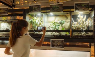 Weekend cu expoziții spectaculoase, târg de nunți și spectacol de teatru pentru copii, la Iulius Mall Cluj