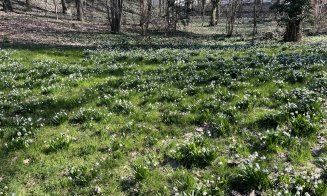 Activitate de weekend: Plimbare într-o zi de primăvară la Grădina Botanică din Cluj-Napoca