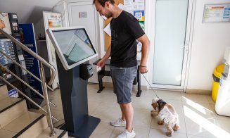 În Cluj-Napoca, animalele de companie fac parte din viața de zi cu zi a orașului