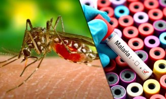 Ce este MALARIA? Cauze. Simptome. Tratament / Netratată, malaria poate provoca convulsii, leziuni ale creierului, insuficiență de organ și deces