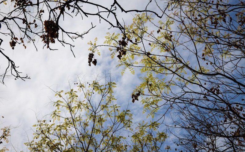 Vreme neașteptată de Paștele ortodox și catolic. Ce temperaturi ne așteaptă