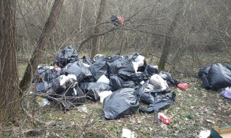 Primăria Jucu avertizează: “Nu se vor tolera deșeurile abandonate în păduri”