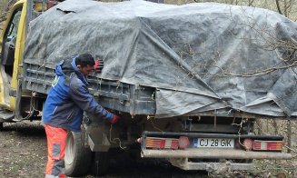 Primăria Jucu avertizează: “Nu se vor tolera deșeurile abandonate în păduri”