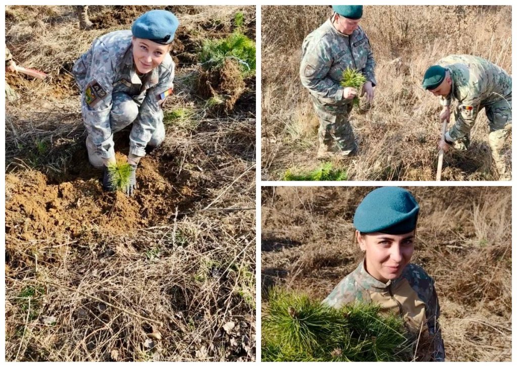 „Misiune verde” pentru militarii clujeni: au plantat copaci pentru un viitor mai curat și mai sănătos