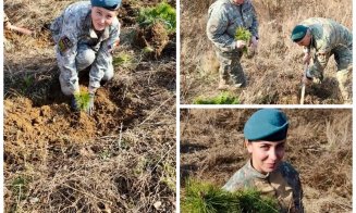 „Misiune verde” pentru militarii clujeni: au plantat copaci pentru un viitor mai curat și mai sănătos