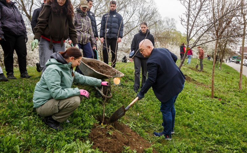 Cluj-Napoca: Plantări de pomi fructiferi și arbuști în cartiere. Primarul Boc, la lopată