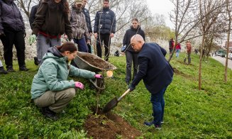 Cluj-Napoca: Plantări de pomi fructiferi și arbuști în cartiere. Primarul Boc, la lopată
