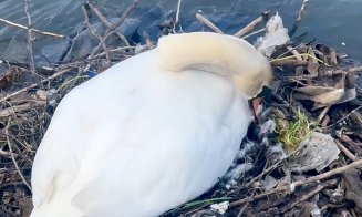 ”Nu ne revenim din chestia asta???” / ”Dar noi, ce facem? Adică mereu altul să ne scoată din cacat?!” / ”Vinovați sunt exact cetățenii”