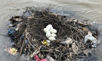 ”Nu ne revenim din chestia asta???” / ”Dar noi, ce facem? Adică mereu altul să ne scoată din cacat?!” / ”Vinovați sunt exact cetățenii”