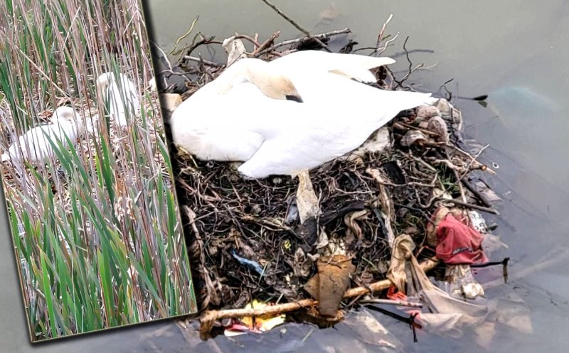 ”Nu ne revenim din chestia asta???” / ”Dar noi, ce facem? Adică mereu altul să ne scoată din căcat?!”