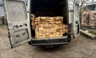 Transport ilegal de lemn, depistat la Cluj. Poliția a dat amendă grea și a confiscat aproape 4 metri cubi