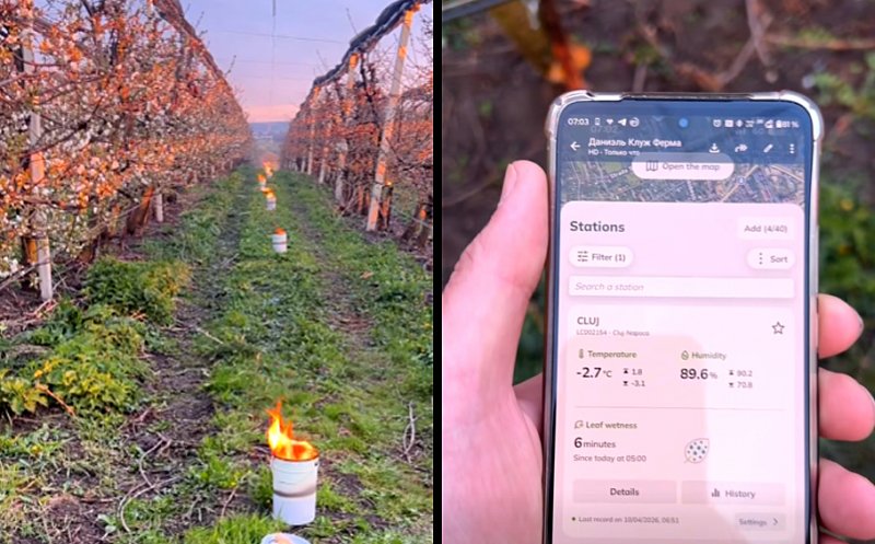 Fermierul din Cluj care a „ars” 40.000 de euro într-o noapte ca să salveze cireșii de îngheț, ATACAT pe net / Adio ”fii mai bun de Paști și de Crăciun”