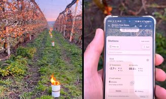 Fermierul din Cluj care a „ars” 40.000 de euro într-o noapte ca să salveze cireșii de îngheț, ATACAT pe net / Adio ”fii mai bun de Paști și de Crăciun”