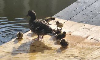 Ce avem noi aici? Noutăți în Parcul Mare :)