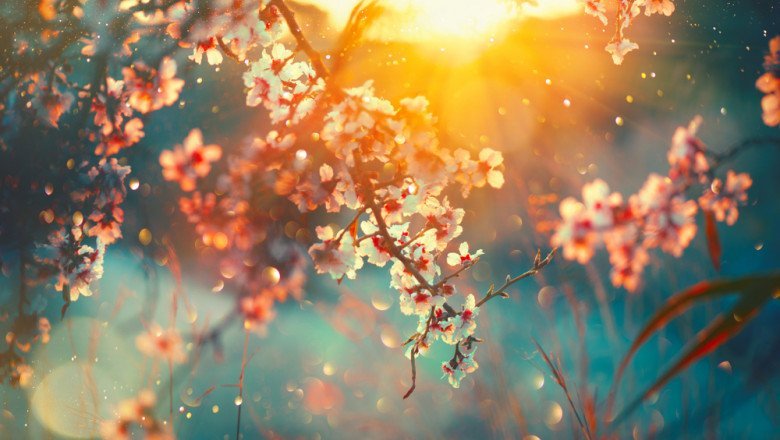 Prognoza meteo pe o lună. Când se încălzește și cum va fi vremea în minivacanța de 1 Mai