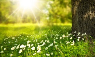 Gata, am scăpat de frig! Temperaturi de până la 20 de grade Celsius. Cum va fi vremea în minivacanța de 1 Mai