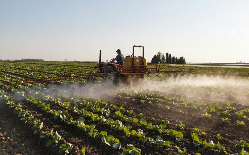 Criză majoră în agricultură: Fermierii români cer Guvernului măsuri urgente / „Situația e critică”