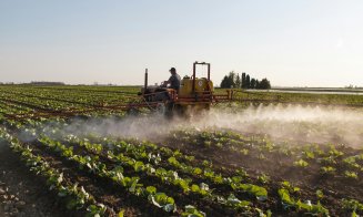 Criză majoră în agricultură: Fermierii români cer Guvernului măsuri urgente / „Situația e critică”