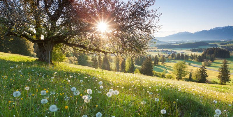 Prognoza pe patru săptămâni. Cum va fi vremea în minivacanța de 1 Mai
