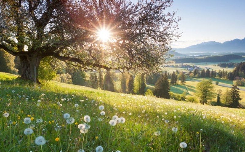 Prognoza pe patru săptămâni. Cum va fi vremea în minivacanța de 1 Mai