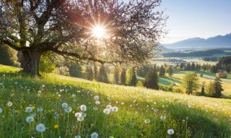 Prognoza pe patru săptămâni. Cum va fi vremea în minivacanța de 1 Mai