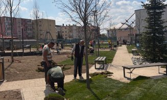 Cristina Belce, pe șantierul lucrărilor de reabilitare a parcului din Apahida: „Astfel de investiții contribuie direct la creșterea calității vieții”